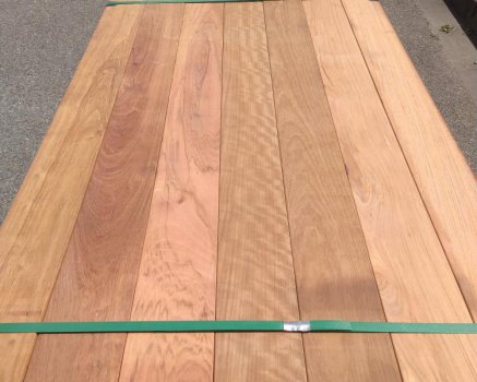 Jatoba - 1