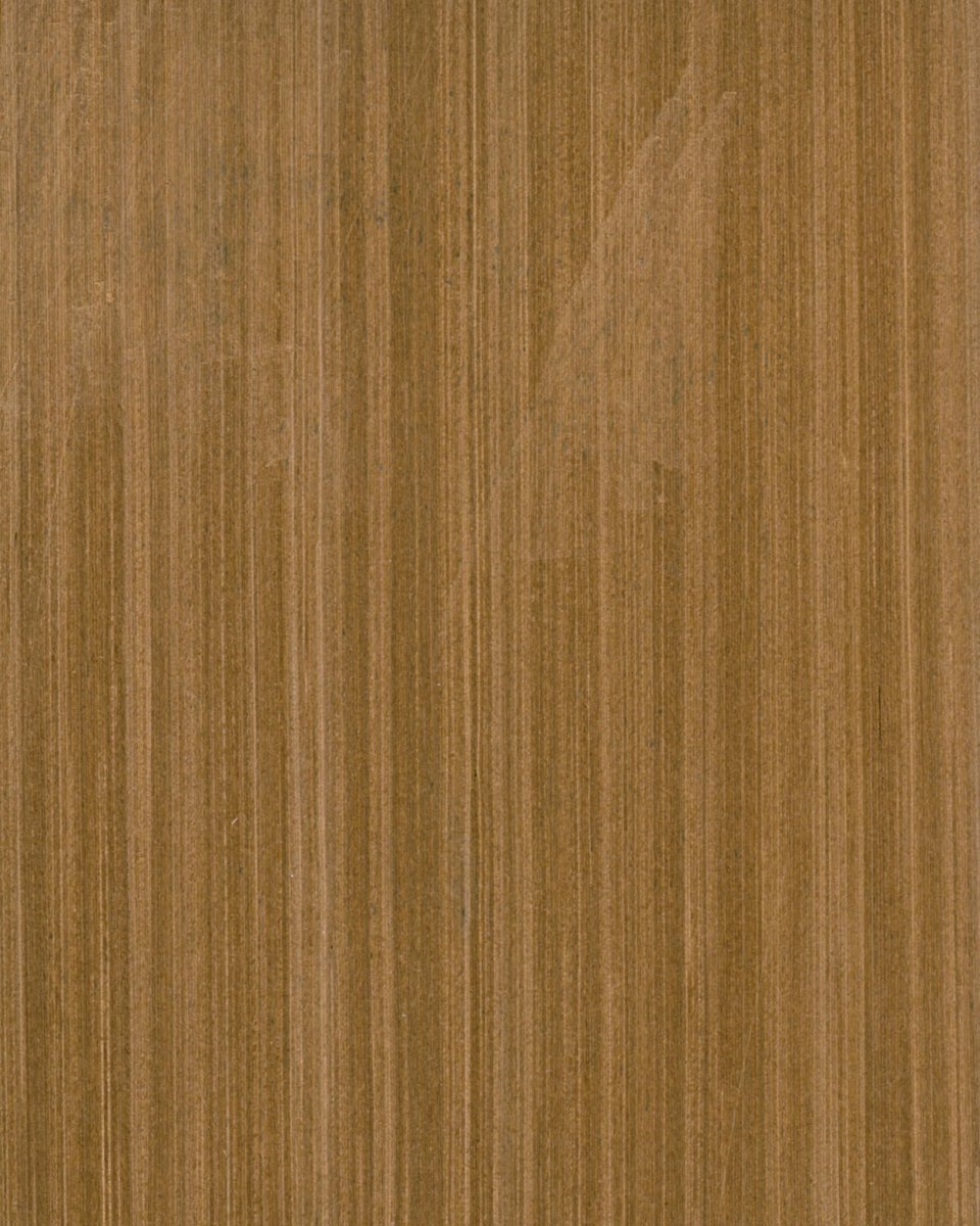 CT dýha Teak