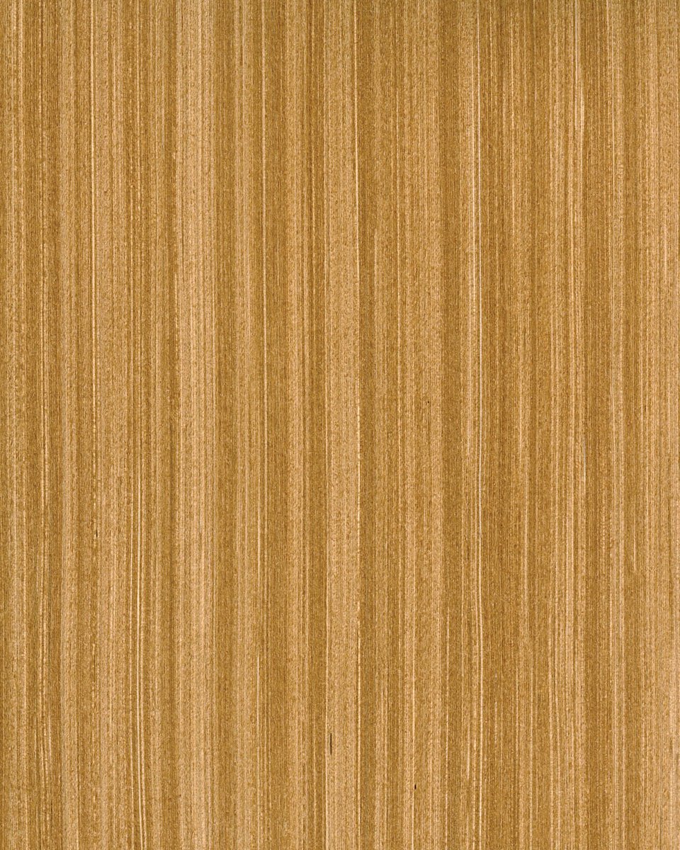 CT dýha Teak zlatý